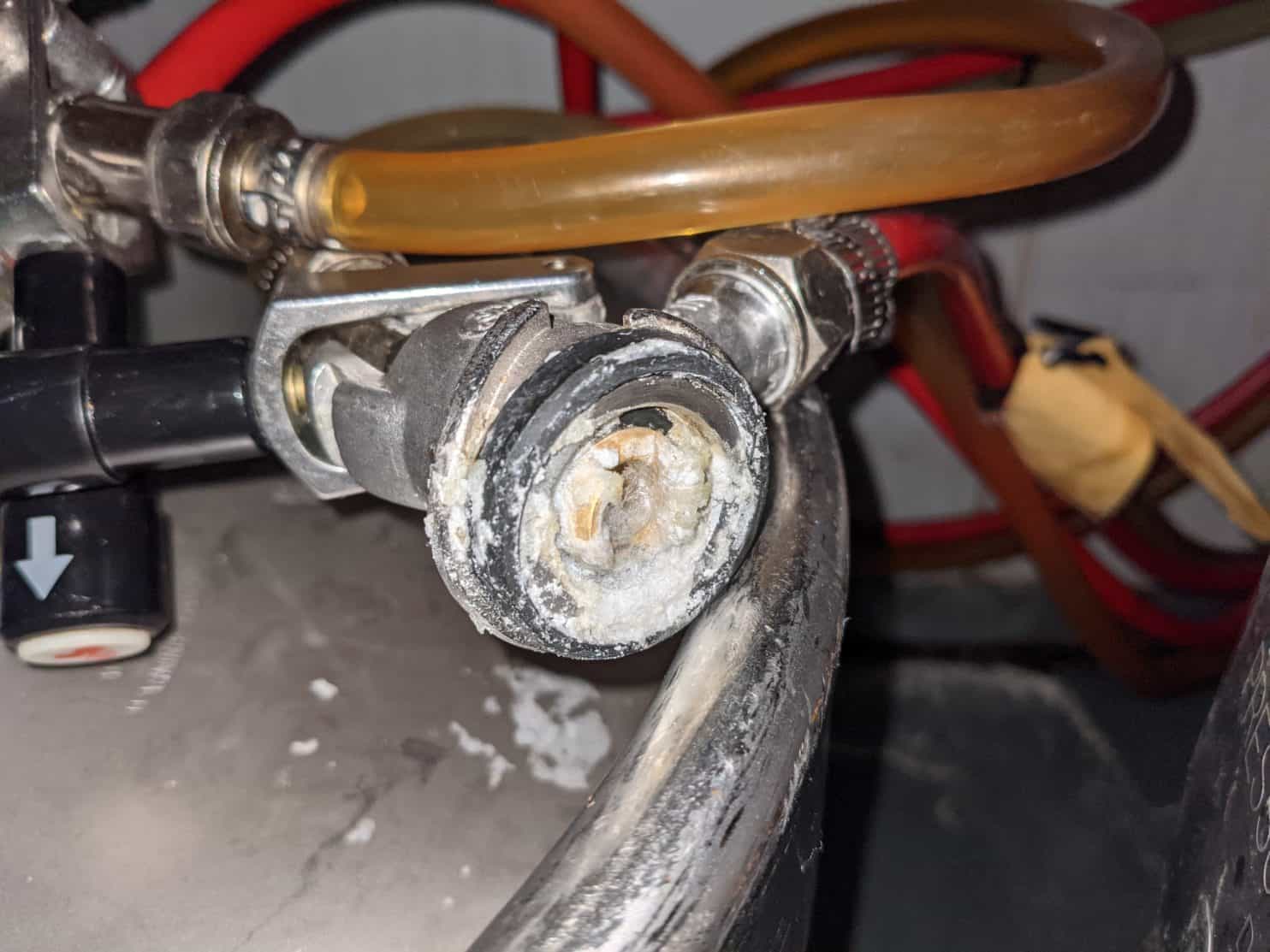 Growth on beer coupler